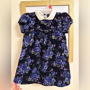 Janie and Jack Collared Floral Velvet Dress with matching bloomers